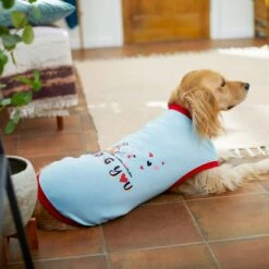 Frisco I Dig You Dog & Cat T-shirt -Pawfect Care 238167 PT6. AC SS1800 V1608594463