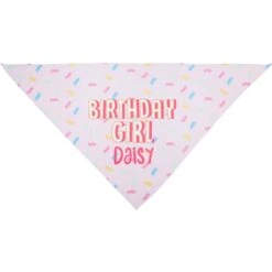 Frisco Birthday Girl Personalized Dog & Cat Bandana -Pawfect Care 238333 PT3. AC SS1800 V1618509734