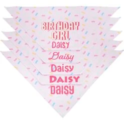 Frisco Birthday Girl Personalized Dog & Cat Bandana -Pawfect Care 238333 PT4. AC SS1800 V1618507367