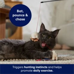 Frisco Zoomies & Chill Popcorn Teaser Wand Cat Toy With Catnip -Pawfect Care 241713 PT5. AC SS1800 V1691785246