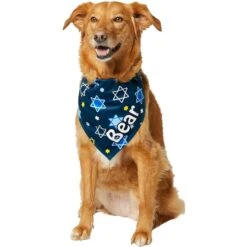 Frisco Hanukkah Personalized Dog & Cat Bandana -Pawfect Care 242799 PT6. AC SS1800 V1618511253