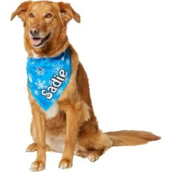 Frisco Blue Snowflakes Personalized Dog & Cat Bandana -Pawfect Care 242803 PT6. AC SS1800 V1618511278