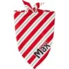Frisco Peppermint Personalized Dog & Cat Bandana -Pawfect Care 242807 MAIN. AC SS1800 V1600114265