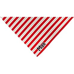 Frisco Peppermint Personalized Dog & Cat Bandana 13 Frisco Peppermint Personalized Dog & Cat Bandana -Pawfect Care 242807 PT3. AC SS1800 V1618507377