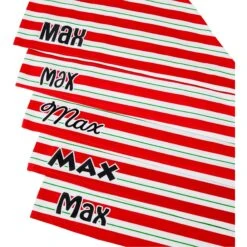 Frisco Peppermint Personalized Dog & Cat Bandana 14 Frisco Peppermint Personalized Dog & Cat Bandana -Pawfect Care 242807 PT4. AC SS1800 V1618511553