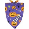 Frisco Halloween Pumpkins Personalized Dog & Cat Bandana -Pawfect Care 242815 MAIN. AC SS1800 V1701983007