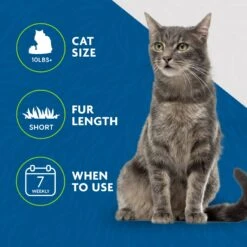 FURminator Short Hair Cat Deshedding Tool -Pawfect Care 243254 PT5. AC SS1800 V1701116729