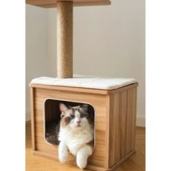 Catry 29.7-in Modern Jute Cat Tree & Condo -Pawfect Care 244330 PT3. AC SS1800 V1637108547