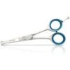 Kenchii Show Gear Straight Ball Tip Dog & Cat Shears -Pawfect Care 245813 MAIN. AC SS1800 V1602017458