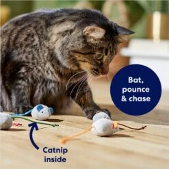 Frisco Mice Plush Cat Toy With Catnip -Pawfect Care 245899 PT2. AC SS1800 V1678723852