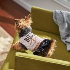 Frisco Boss Babe Dog & Cat Dress -Pawfect Care 248674 PT7. AC SS1800 V1613666625