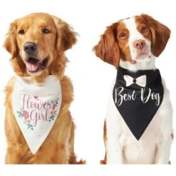 Frisco Wedding Reversible Dog & Cat Bandana -Pawfect Care 248712 PT2. AC SS1800 V1632429387