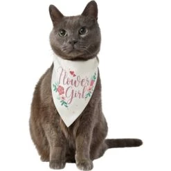 Frisco Wedding Reversible Dog & Cat Bandana -Pawfect Care 248712 PT3. AC SS1800 V1632431176