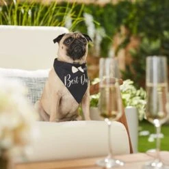 Frisco Wedding Reversible Dog & Cat Bandana -Pawfect Care 248712 PT5. AC SS1800 V1632432987