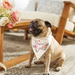 Frisco Wedding Reversible Dog & Cat Bandana -Pawfect Care 248712 PT6. AC SS1800 V1632430655