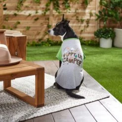 Frisco Happy Lil' Camper Dog & Cat T-Shirt -Pawfect Care 248789 PT7. AC SS1800 V1613670226