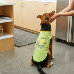 Frisco Mama's Main Squeeze Dog & Cat T-Shirt -Pawfect Care 248853 PT7. AC SS1800 V1613683647