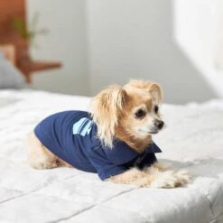 Frisco Dog & Cat Polo Shirt With Accent Pocket -Pawfect Care 248880 PT7. AC SS1800 V1644960683