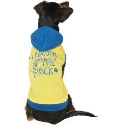 Frisco Leader Of The Pack Dog & Cat Hoodie -Pawfect Care 248905 PT2. AC SS1800 V1637686650