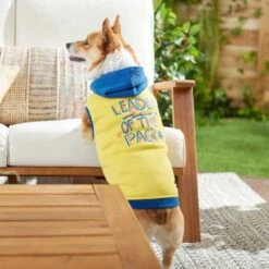 Frisco Leader Of The Pack Dog & Cat Hoodie -Pawfect Care 248905 PT5. AC SS1800 V1637682701