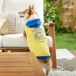 Frisco Leader Of The Pack Dog & Cat Hoodie -Pawfect Care 248905 PT7. AC SS1800 V1613752118