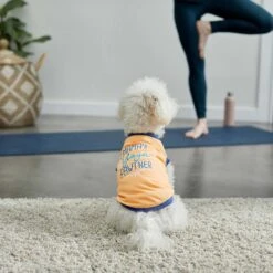 Frisco Mama's Yoga Pawtner Dog & Cat T-Shirt -Pawfect Care 248966 PT4. AC SS1800 V1624592860
