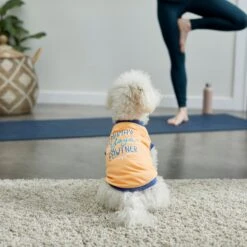 Frisco Mama's Yoga Pawtner Dog & Cat T-Shirt -Pawfect Care 248966 PT7. AC SS1800 V1614201756