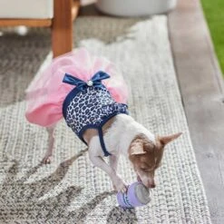 Frisco Leopard Print Dog & Cat Dress -Pawfect Care 249051 PT5. AC SS1800 V1644960386