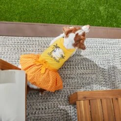 Frisco Fun In The Sun Dog & Cat Dress -Pawfect Care 249058 PT4. AC SS1800 V1637668124