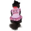 Frisco Cute & Sassy Dog & Cat Dress -Pawfect Care 249073 MAIN. AC SS1800 V1644452847