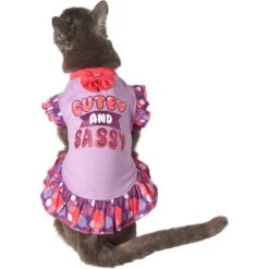 Frisco Cute & Sassy Dog & Cat Dress -Pawfect Care 249073 PT2. AC SS1800 V1644959826