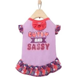 Frisco Cute & Sassy Dog & Cat Dress -Pawfect Care 249073 PT3. AC SS1800 V1644960094