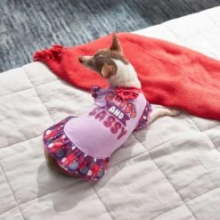 Frisco Cute & Sassy Dog & Cat Dress -Pawfect Care 249073 PT5. AC SS1800 V1644960392