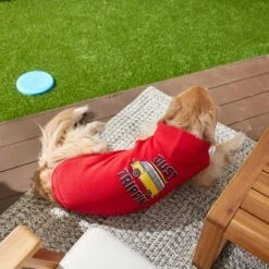 Frisco Just Trippin' Dog & Cat Hoodie -Pawfect Care 249086 PT7. AC SS1800 V1614361932