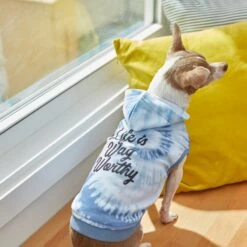 Frisco Life Is Wag Worthy Tiedye Print Dog & Cat Hoodie -Pawfect Care 249094 PT7. AC SS1800 V1614362017