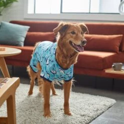 Frisco Happy Shark Dog & Cat Jersey PJs -Pawfect Care 249122 PT7. AC SS1800 V1614276183