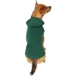 Frisco Dog & Cat Basic Hoodie -Pawfect Care 249154 PT2. AC SS1800 V1633073480