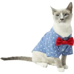 Frisco Polka Dot Chambray Dog & Cat Button Up Shirt -Pawfect Care 249162 PT2. AC SS1800 V1614202882