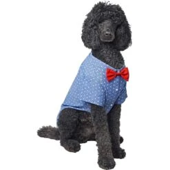 Frisco Polka Dot Chambray Dog & Cat Button Up Shirt -Pawfect Care 249162 PT3. AC SS1800 V1624599756