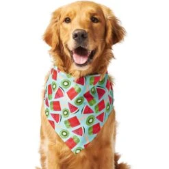 Frisco Fruity Summer Dog & Cat Bandana -Pawfect Care 249204 PT2. AC SS1800 V1637644629