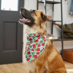 Frisco Fruity Summer Dog & Cat Bandana -Pawfect Care 249204 PT4. AC SS1800 V1637668676