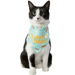 Frisco Brunch Please Dog & Cat Bandana -Pawfect Care 249207 PT2. AC SS1800 V1696597732