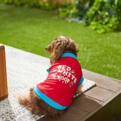 Frisco Red, White & Boop Dog & Cat T-Shirt -Pawfect Care 249242 PT5. AC SS1800 V1624616560