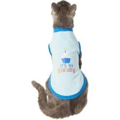 Frisco It's My Birthday & Cat T-Shirt -Pawfect Care 249249 PT2. AC SS1800 V1624604252