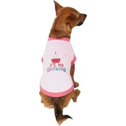 Frisco It's My Birthday Dog & Cat T-Shirt, Pink -Pawfect Care 249255 PT2. AC SS1800 V1624608150