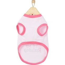 Frisco It's My Birthday Dog & Cat T-Shirt, Pink -Pawfect Care 249255 PT3. AC SS1800 V1624614153