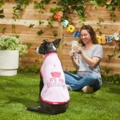 Frisco It's My Birthday Dog & Cat T-Shirt, Pink -Pawfect Care 249255 PT7. AC SS1800 V1614289423