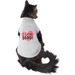 Frisco I Love Daddy Dog & Cat T-Shirt, Gray -Pawfect Care 249263 PT2. AC SS1800 V1624616254