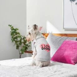 Frisco I Love Daddy Dog & Cat T-Shirt, Gray -Pawfect Care 249263 PT5. AC SS1800 V1624592867