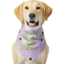 Frisco You're All I've Avo Wanted Dog & Cat Bandana -Pawfect Care 249292 PT2. AC SS1800 V1637723806